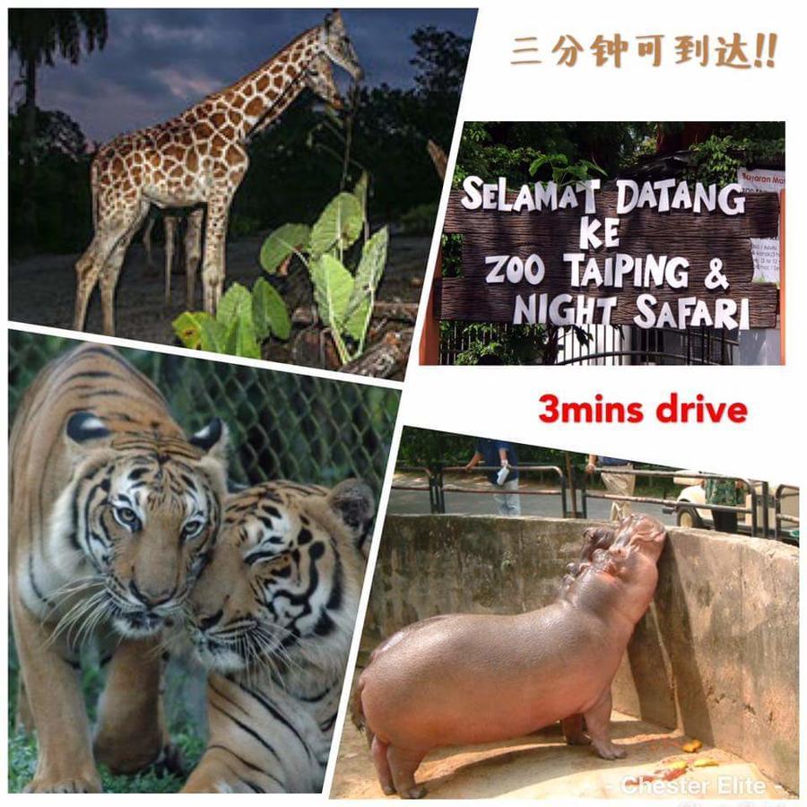 Taiping Homestay